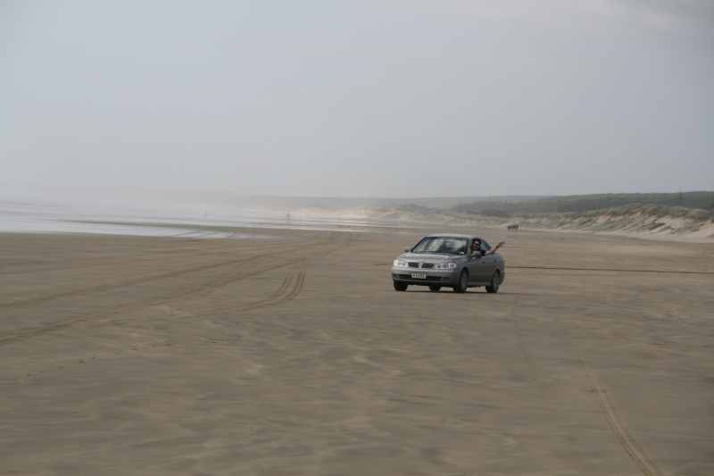 Nieuw-Zeeland 2011 - 0394